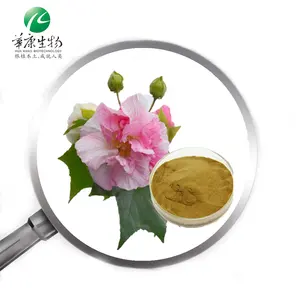 1% Extracto de flor de hibisco antocianidinas 4:1