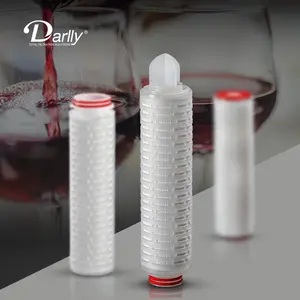 Pembotolan Anggur Filtrasi Hidrofilik Asimetris Membran PES Lipit 0,2um Cartridge Filter Mikro untuk Industri Makanan dan Minuman
