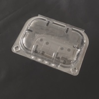 Conteneur en plastique recyclé RPET à clapet, capacité 250g, prêt à être expédié, G250F, boîte d'emballage pour fruits, pour myrtilles