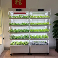 Jardinière hydroponique intelligente moderne avec lumière de croissance LED et contrôle par application/Bluetooth pour la culture de micro-légumes, herbes et légumes-feuilles