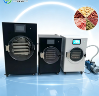 Draagbare huishoudelijke kleine vriesdroogmachine voor dagelijks zelfgemaakt fruitcrisp lyofilisatie kleine vriesdroogmachine