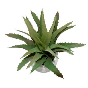 <span class=keywords><strong>Planta</strong></span> suculenta <span class=keywords><strong>grande</strong></span> artificial <span class=keywords><strong>aloe</strong></span> <span class=keywords><strong>vera</strong></span> en maceta hojas falsas - Product Image 6