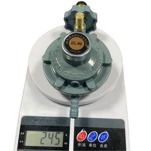 Válvula Reductora de Presión Ruizhang Yimin 601 para Gas Licuado, 3/8 Pulgadas, Recta, Baja Presión, Aleación de Zinc - Product Image 5