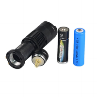Mini lampe torche UV personnalisée avec logo, lumière noire LED UV 395nm, zoom en aluminium, lampe torche UV pour la détection des scorpions et des faux billets