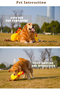 Yüksek kaliteli özel eğlenceli köpek oyuncak pamuk kordon peluş Squeaky Pet oyuncaklar interaktif Chew spor dayanıklı köpek oyuncak - Product Image 2