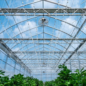 Invernadero de Vidrio Multiusos con Estructura de Acero Galvanizado por Inmersión en Caliente, de Alta Resistencia, con Control Climático Inteligente y Alta Transmitancia de Luz - Product Image 4