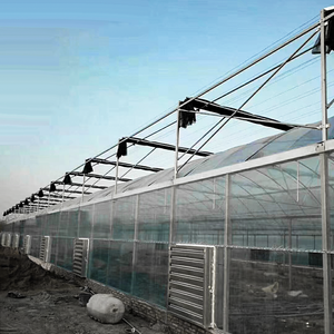 बड़ी बहु-अवधि हाइड्रोपोनिक सुरंग ग्रीनहाउस गर्म गैल्वेनाइज्ड कृषि पे पतली फिल्म ग्रीनहाउस - Product Image 4