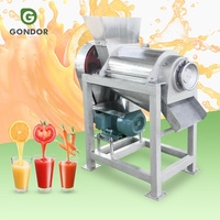 Industrie Extract Wortel Meloen Pitaya Biet Extreme Sap Watermeloen Sap Koude Pers Afzuigmachine