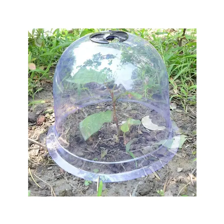 2023 Innovative Products Garden Plastic Dome Cloche Plant Bell Cover For Seeds Decor Planting Protector