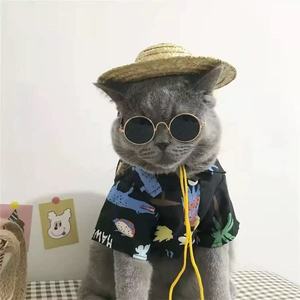 Lunettes de soleil écologiques pour animaux de compagnie LeQin en métal solide pour l'hiver, pour petits animaux - Product Image 2