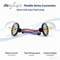 Lumière pixel adressable 65 mm DC24V UCS2904 RGB/RGBW blanc chaud 360 degrés pour installation d'affichage dynamique sur scène et manèges