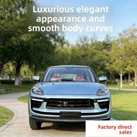 Véhicule électrique à énergie nouvelle modèle 2026 avec climatisation, véhicule électrique à basse vitesse pour adultes à usage domestique