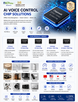 Chip Kontrol Suara AI Merrillchip CI13322, Pengenalan Ucapan Offline, NLP, Perangkat Rumah Pintar, IC Pengaktif Suara