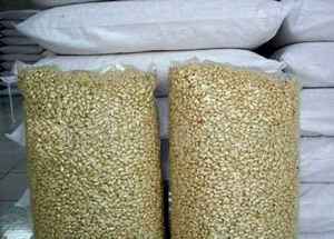 Shandong Origin geschälte Erdnuss kerne 3A Grade getrockneter Snack Blanchierte Erdnüsse Export qualität Gesund nahrhaft - Product Image 3