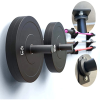 Support mural Vigfit en acier pour disques de musculation, avec supports et crochets en caoutchouc, capacité 100 kg, idéal pour la maison et la salle de sport