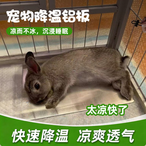Joyful Pet Cooling Aluminum Plate 30x20cm Heat Dissipation Sheet For Rabbit Cage Summer Use - Product Image 3