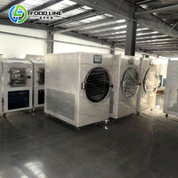 Kleine vriesdroogmachine voor voedselverwerking: gebruik in kleine voedselproductiebedrijven kleine vriesdroogmachine