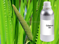 Huile de Calamus 100% naturelle de l'Inde Acorus calamus fabricant d'huile essentielle à la quantité en vrac
