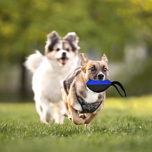 Juguete de Masticación de Algodón Multicolor para Entrenamiento de Perros, Palo de Fútbol para Morder, para Pastores Alemanes, Interactivo - Product Image 2
