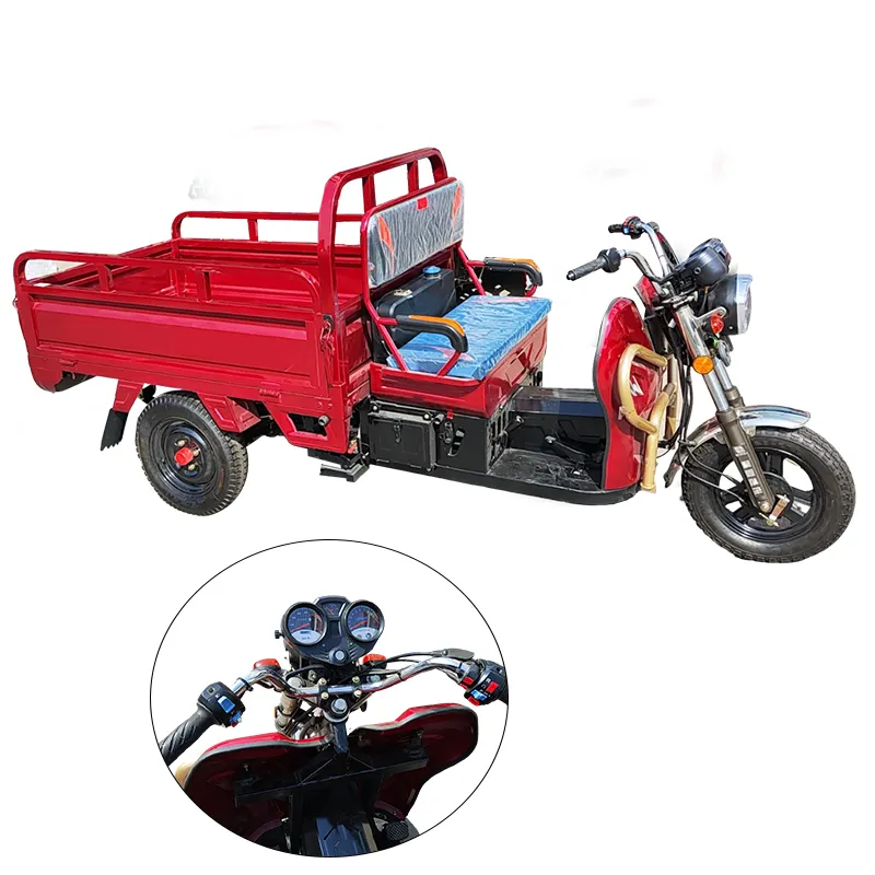 Новая модель бензиновый моторизованный трицикл, популярный мотоцикл для взрослых, бензиновый трицикл для продажи