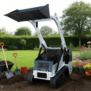 شحن مجاني لودر صغير جديد رخيص للاستخدام في الحدائق الصغيرة لودر انزلاقي صغير - Product Image 3