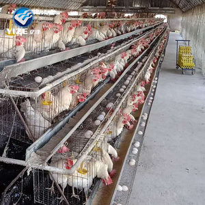 <span class=keywords><strong>Venta</strong></span> caliente <span class=keywords><strong>de</strong></span> jaula <span class=keywords><strong>de</strong></span> pollo para la <span class=keywords><strong>venta</strong></span> en Filipinas/Huevos <span class=keywords><strong>de</strong></span> corral jaulas <span class=keywords><strong>de</strong></span> pollo (<span class=keywords><strong>de</strong></span> fábrica) - Product Image 2