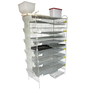 Cages à cailles automatiques <span class=keywords><strong>de</strong></span> 6 à 8 couches pour cage à cailles <span class=keywords><strong>de</strong></span> ferme - Product Image 4