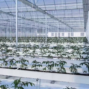 Serre agricole <span class=keywords><strong>tunnel</strong></span> à film multi-span pour la <span class=keywords><strong>culture</strong></span> hors-sol et la <span class=keywords><strong>culture</strong></span> hydroponique - Product Image 6