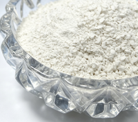 Phosphate dicalcique (DCP) 18% de qualité alimentaire pour animaux, en poudre granulaire, favorise la croissance - Approvisionnement direct usine