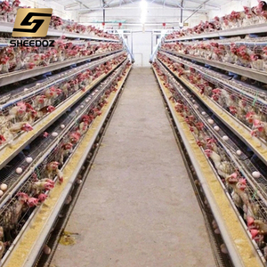 Cage à batterie galvanisée pour poules pondeuses de type A pour élevage avicole, <span class=keywords><strong>vente</strong></span> de cages pour poules pondeuses - Product Image 6