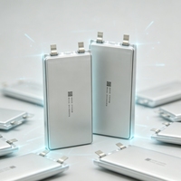Batterie au lithium polymère 3070130 3,7 V 3000 mAh, performances stables pour les produits numériques, les banques d'alimentation et les projets de bricolage