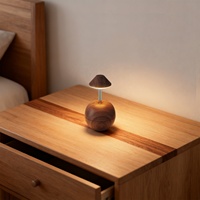 Lampe de bureau LED rechargeable créative, décoration, chambre d'hôtel, télécommande, variateur tactile, lumière d'ambiance, lampe de chevet