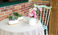 Pots à succulentes en céramique ovales de petite taille, blancs, avec plateau en bambou et trou de drainage, support minimaliste pour plantes de cactus de jardin
