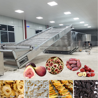 Industriële fruitdroogmachine voor dadelpalmen, meloenen, aardbeien en gedroogde vijgen; verwerkingsapparatuur
