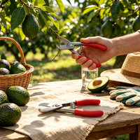 Avocado-oogstgereedschap, avocado-snijder, fruitpluk schaar, boomgaard snoeigereedschap voor avocado-boerderijen, tuin fruitoogst