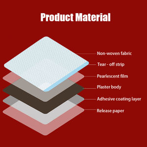 中国のハーブ薬用石膏冷凍肩坐骨腰痛に対する体痛熱作用 - Product Image 3