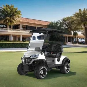 ODM dịch vụ có sẵn 2 CHỖ NGỒI Mini Golf điện giỏ hàng với pin lithium và Hộp Găng Tay điện Golf Buggy giỏ hàng