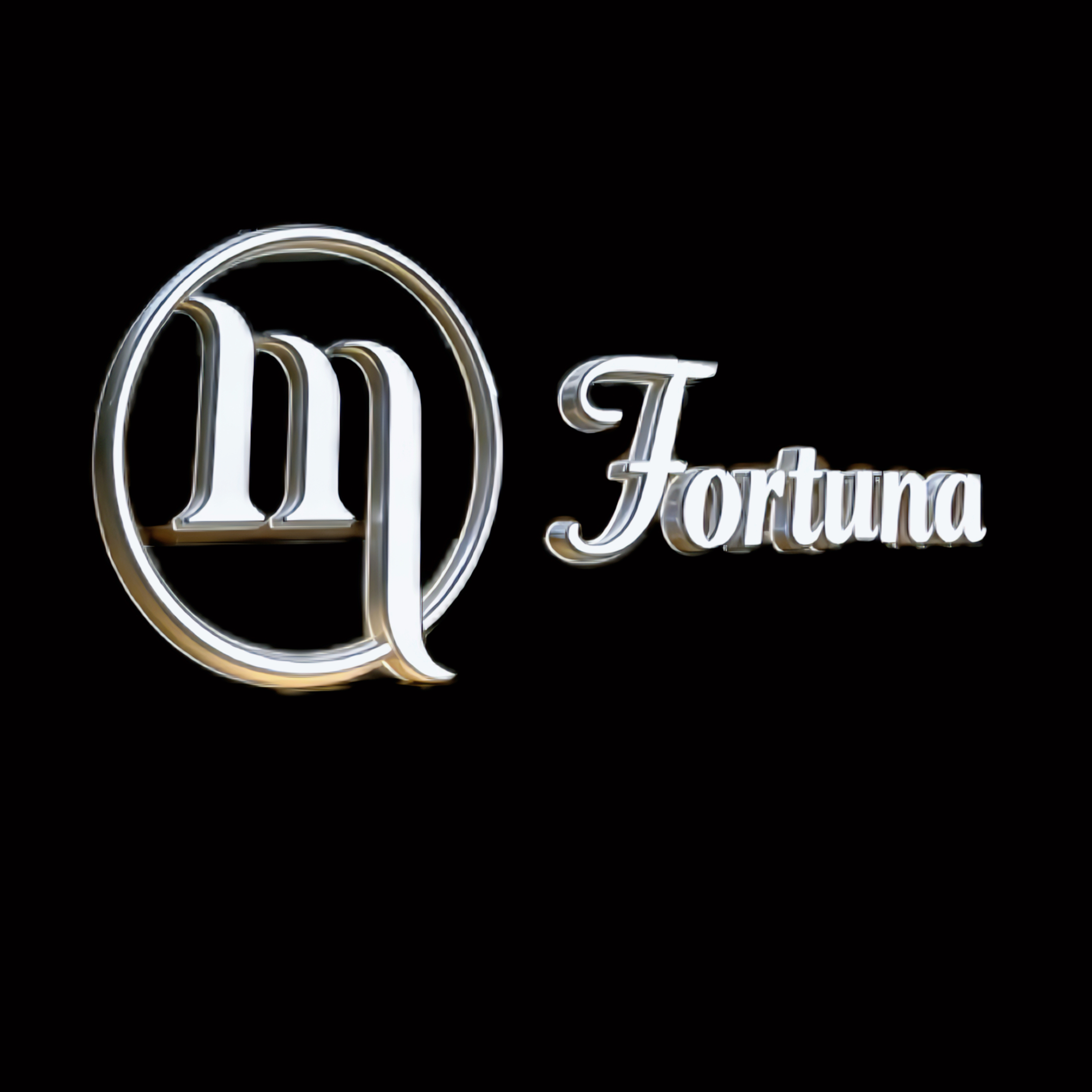 Shenzhen Fortuna International Trading Co., Ltd. logo