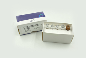 Kit de dosage par PCR quantitative (relatif) pour la quantification de la longueur des téloèmeres de souris EQ028 100rxns pour la recherche - Product Image 3