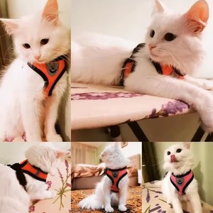 Rompi Harness Kucing dengan Tali Pengikat untuk Anjing dan Anak Anjing, Kerah Poliester, Harness Anjing Berbahan Jala yang Dapat Disesuaikan untuk Hewan Peliharaan Kecil dan Sedang, Aksesoris Hewan Peliharaan - Product Image 6