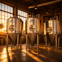 Cuve de Fermentation Conique en Acier Inoxydable Tonsen 500L-5000L avec Enveloppe Chauffante pour Brasserie Artisanale Commerciale