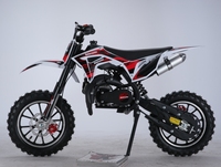 Nouveau Mini Moto Cross Enfant Automatique 2 Temps 49cc 50cc à Essence Homologué CE Modèle 2024 à Vendre