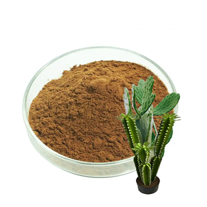 <span class=keywords><strong>Poudre</strong></span> d'extrait <span class=keywords><strong>de</strong></span> cactus <span class=keywords><strong>Nopal</strong></span> naturel pur <span class=keywords><strong>de</strong></span> haute qualité - Product Image 1