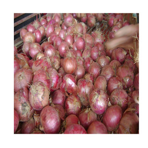 2025 Tươi Bán Buôn Trung Quốc Màu Đỏ/Vàng Hành Tây Giá Rẻ Xuất Khẩu Toàn Cầu Hữu Cơ Tươi Hành Tây Nhà Cung Cấp - Product Image 4