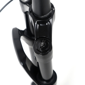 Fourche avant Retrospec 28,6 mm, axe 12x100 mm, suspension à air, réglage du rebond, VTT 29 pouces - Product Image 2