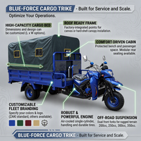 Tricycle de livraison à trois roues, moteur essence 200cc, fourgon ouvert profond, moto-cargo à essence pour adultes