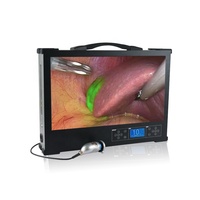 Cámara endoscópica Full HD portátil de 24 pulgadas para equipo de cirugía ENT/Urología/laparoscopia/histeroscopia/cistoscopia