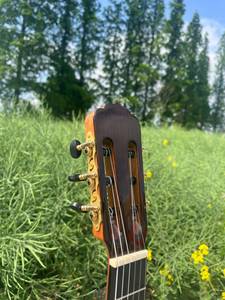 Aiersi 39 Inch Cổ Điển Guitar Lớn lên Fretboard Vân sam Nhạc Cụ 6 Dây Cho Bán - Product Image 3