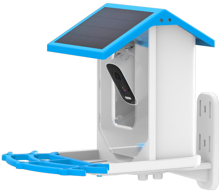 Wireless AI Bird Watching Camera Auto