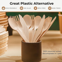 Mini Cuchara Desechable de Madera de Abedul, Ecológica y Biodegradable, para Restaurantes, Catering, Bodas, Fiestas, Utensilio para Sopa Caliente